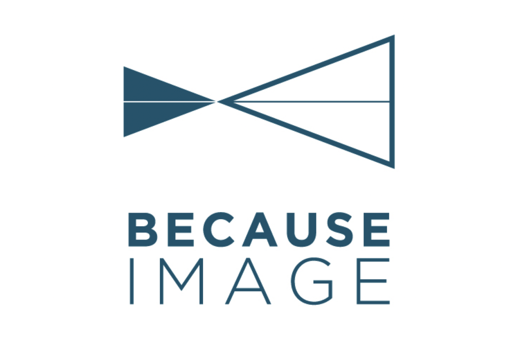 logo because image