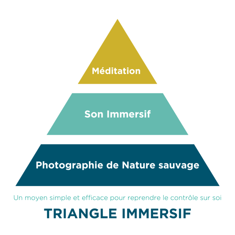 Triangle Immersif, une innovation Because Image by David Casartelli