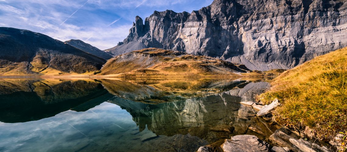 reflection-des-fiz-because-image-david-casartelli